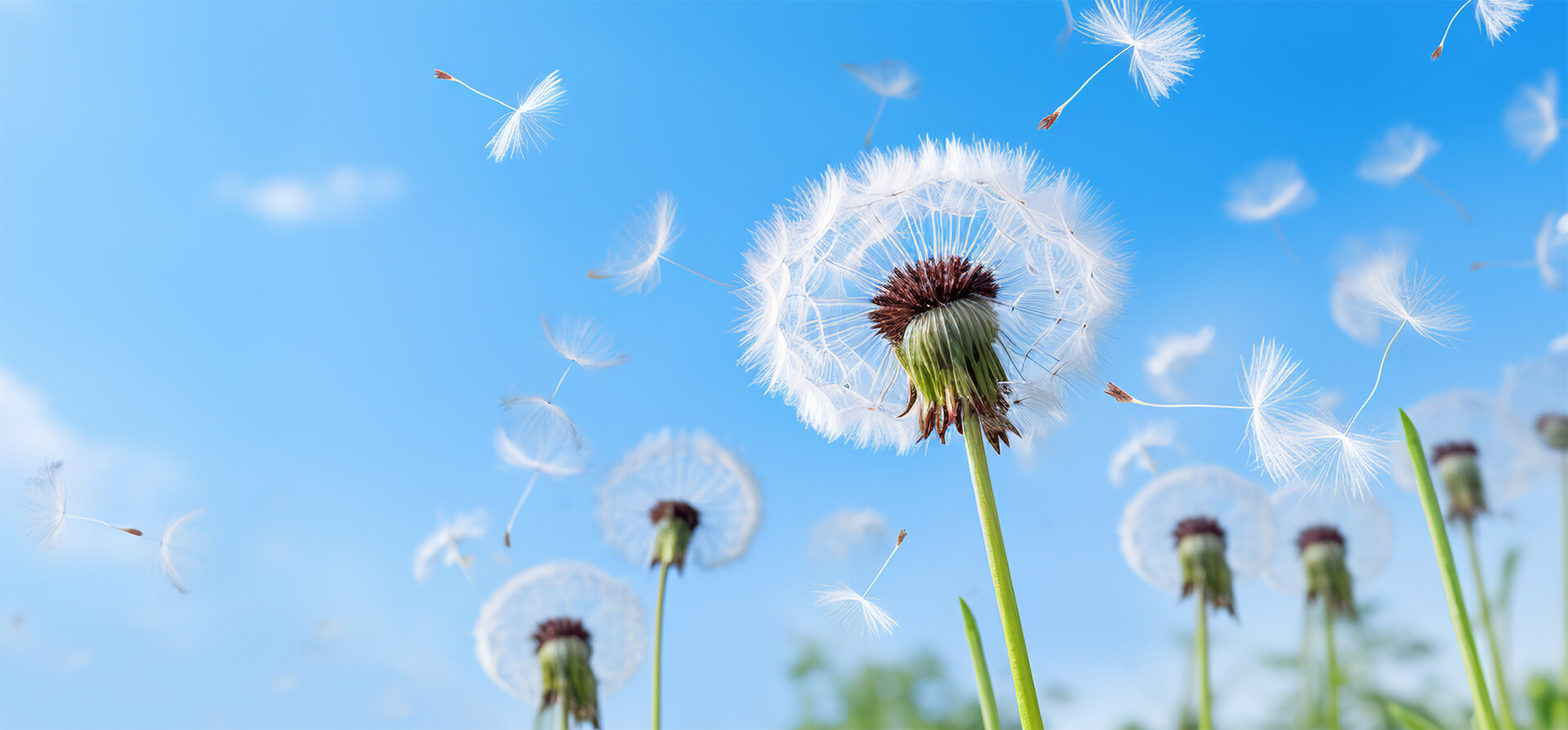 Unsere Verpflichtung: <span>Ökologie & Fachberatung</span>