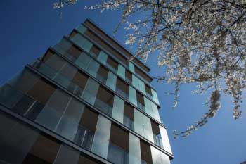 villa_bukietowa1.JPG