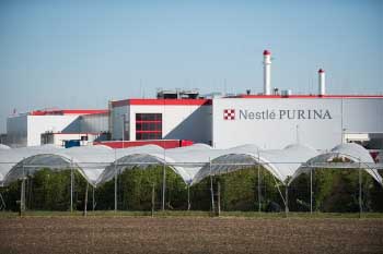 Nestlé Purina (4)